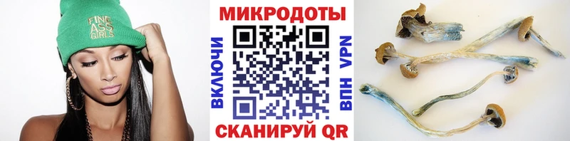 Галлюциногенные грибы мухоморы  Темников 